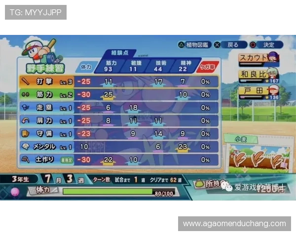 亚博体育百家乐官网用户评价，真实玩家分享平台使用心得与游戏体验