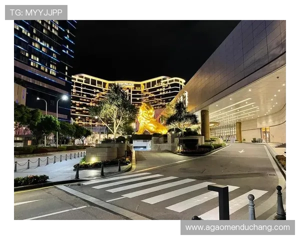 新澳门六娱乐项目全攻略让你玩转赌场、表演和夜生活