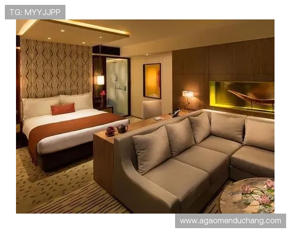 新濠锋娱乐场所怎么样：娱乐项目多样性与客户评价分析