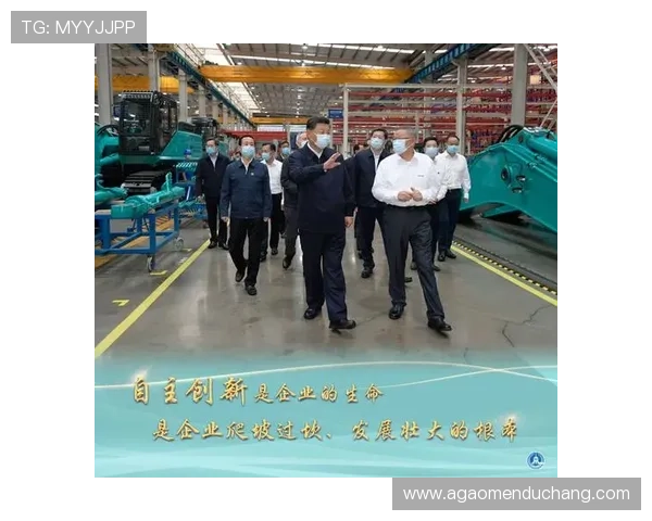 汇彩控股有限公司在行业中的市场竞争优势与核心竞争力探讨